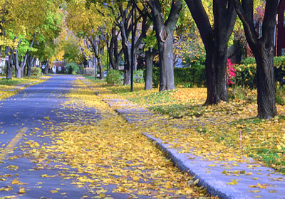 A Great Place to Retire Can Be Found in Places Other Than Florida