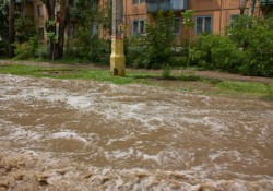 Flooded Street