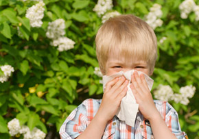 Boy Covering His Mouth Boy Covering His Mouth