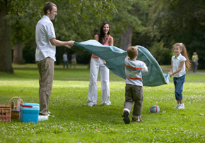 Family on a Picnic Family on a Picnic