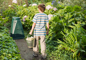 Boy Walking in a Garden Boy Walking in a Garden