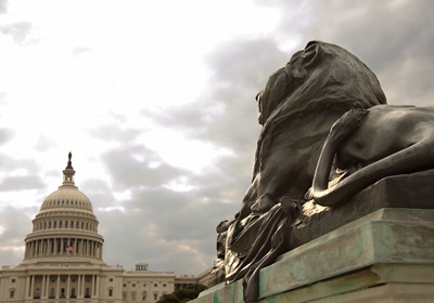Lion Statue and Congress Lion Statue and Congress