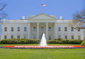 White House White House